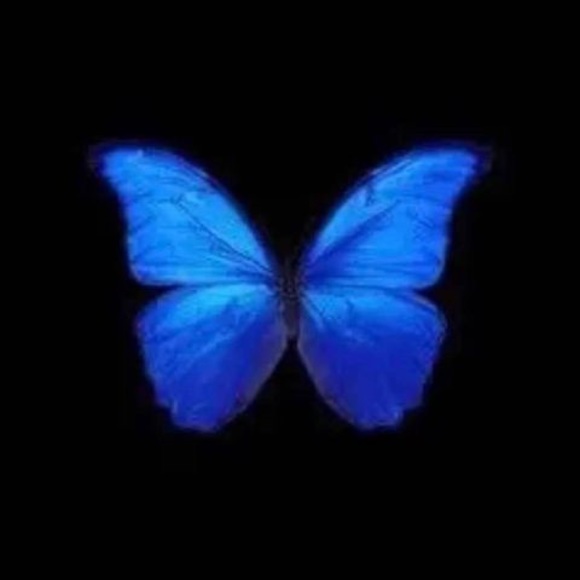 Meet your Posher, Chapis - Picture 1 of 1